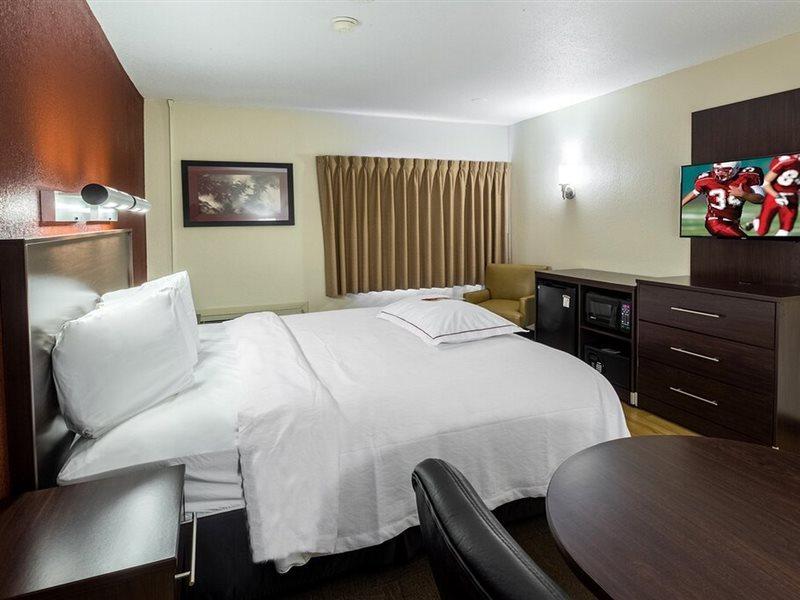 Red Roof Inn Plus+ South Deerfield - Amherst Exterior foto